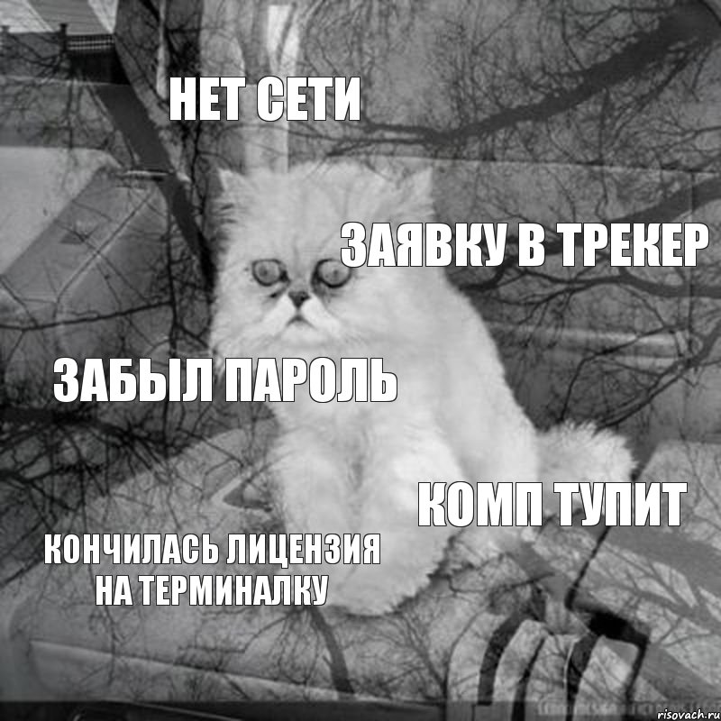 нет сети заявку в трекер забыл пароль комп тупит кончилась лицензия на терминалку, Комикс  кот безысходность