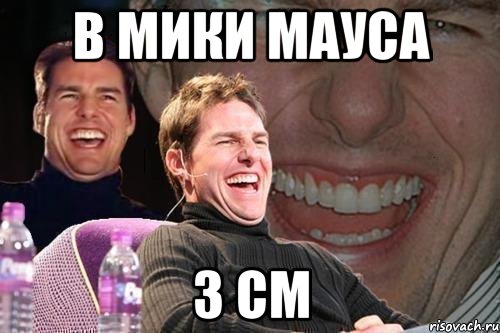 В МИКИ МАУСА 3 СМ, Мем том круз