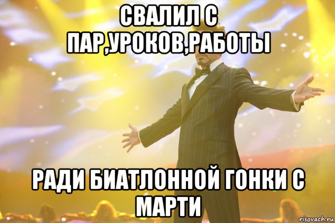 свалил с пар,уроков,работы ради биатлонной гонки с Марти, Мем Тони Старк (Роберт Дауни младший)