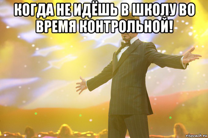 Когда не идёшь в школу во время контрольной! , Мем Тони Старк (Роберт Дауни младший)