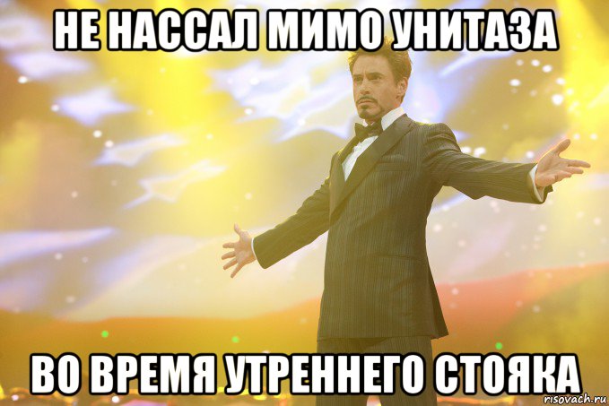 Не нассал мимо унитаза во время утреннего стояка, Мем Тони Старк (Роберт Дауни младший)