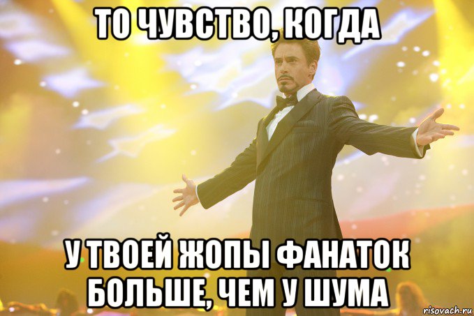 То чувство, когда У твоей жопы фанаток больше, чем у шума, Мем Тони Старк (Роберт Дауни младший)