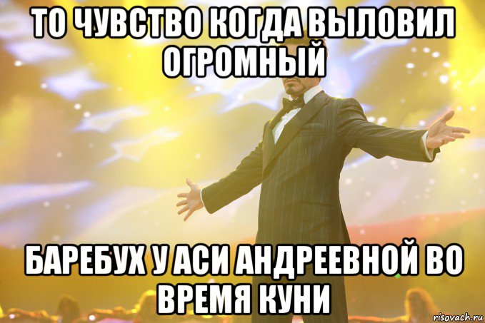 То чувство когда выловил огромный баребух у аси андреевной во время куни, Мем Тони Старк (Роберт Дауни младший)