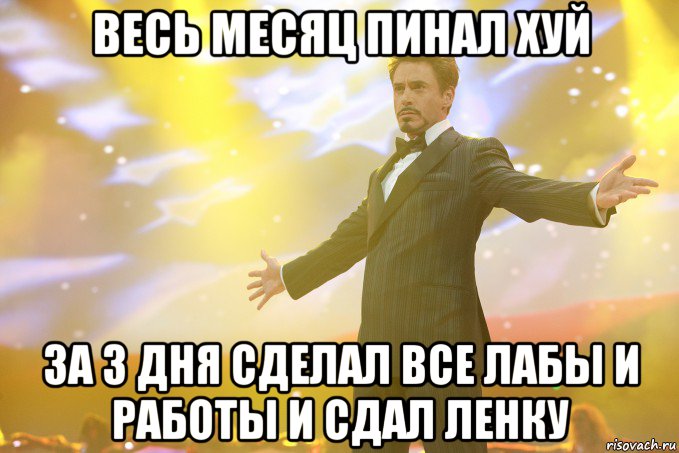 весь месяц пинал хуй за 3 дня сделал все лабы и работы и сдал Ленку, Мем Тони Старк (Роберт Дауни младший)