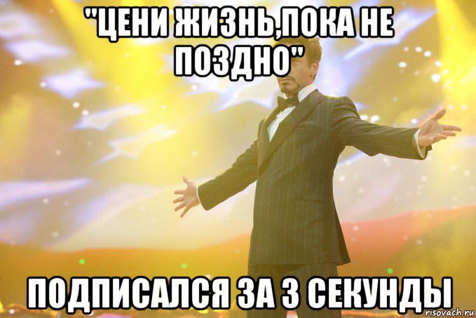 "Цени жизнь,пока не поздно" Подписался за 3 секунды, Мем Тони Старк (Роберт Дауни младший)