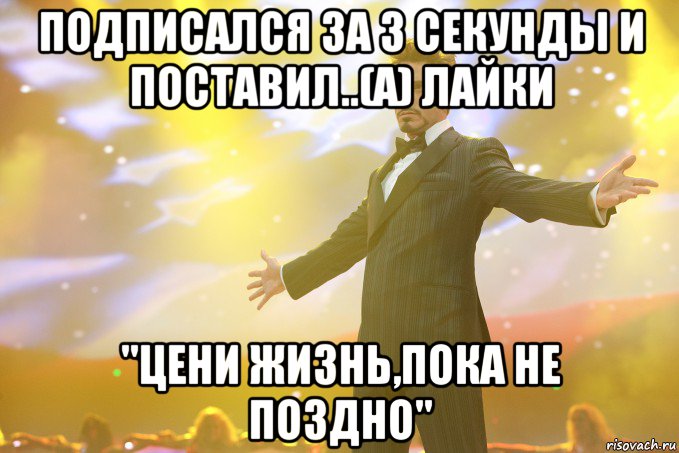 Подписался за 3 секунды и поставил..(а) лайки "Цени жизнь,пока не поздно", Мем Тони Старк (Роберт Дауни младший)