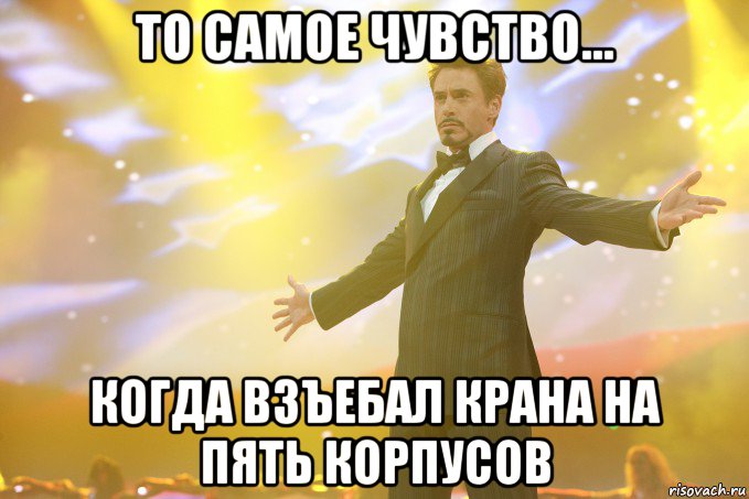 ТО САМОЕ ЧУВСТВО... КОГДА ВЗЪЕБАЛ КРАНА НА ПЯТЬ КОРПУСОВ, Мем Тони Старк (Роберт Дауни младший)