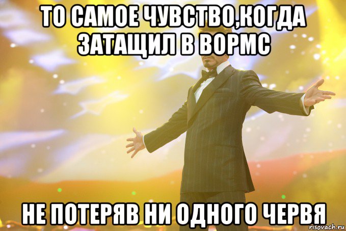 то самое чувство,когда затащил в вормс не потеряв ни одного червя, Мем Тони Старк (Роберт Дауни младший)