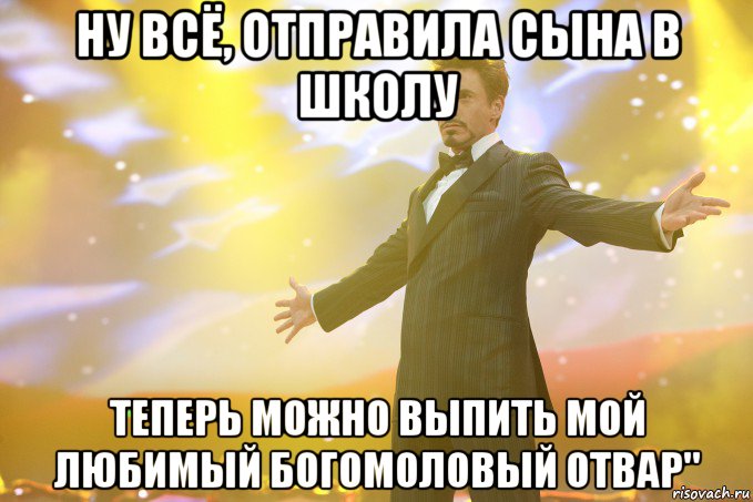 ну всё, отправила сына в школу теперь можно выпить мой любимый богомоловый отвар", Мем Тони Старк (Роберт Дауни младший)