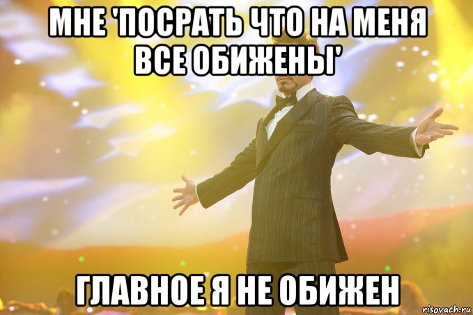 мне 'Посрать что на меня все обижены' Главное я не обижен, Мем Тони Старк (Роберт Дауни младший)