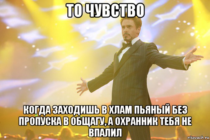 То чувство когда заходишь в хлам пьяный без пропуска в общагу, а охранник тебя не впалил, Мем Тони Старк (Роберт Дауни младший)