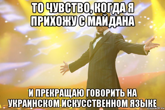 То чувство, когда я прихожу с майдана и прекращаю говорить на украинском искусственном языке, Мем Тони Старк (Роберт Дауни младший)