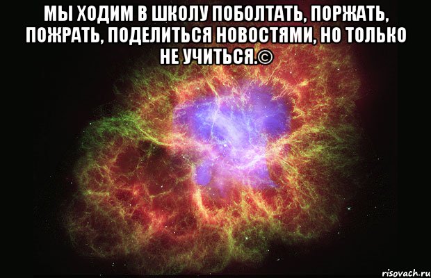 Мы ходим в школу поболтать, поржать, пожрать, поделиться новостями, но только не учиться.© , Мем Туманность