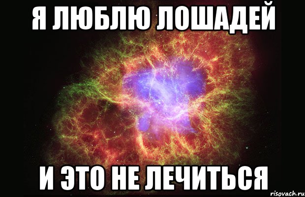 я люблю ЛОШАДЕЙ и это не лечиться, Мем Туманность