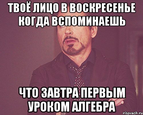 Твоё лицо в воскресенье когда вспоминаешь Что завтра первым уроком алгебра, Мем твое выражение лица