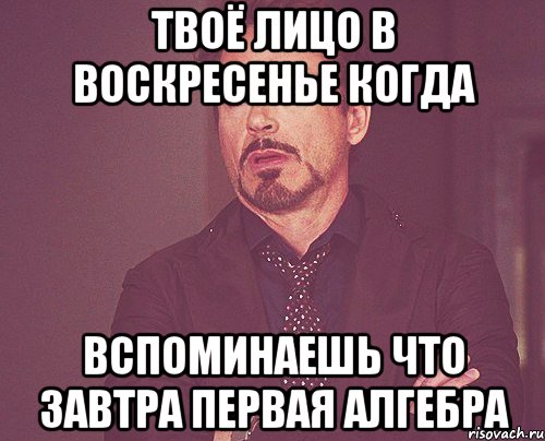 Твоё лицо в воскресенье когда Вспоминаешь что завтра первая алгебра, Мем твое выражение лица