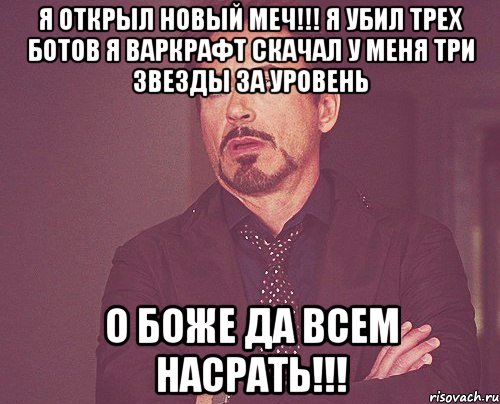 Я открыл новый меч!!! Я убил трех ботов Я варкрафт скачал У меня три звезды за уровень О боже да всем насрать!!!, Мем твое выражение лица