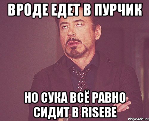 вроде едет в пурчик но сука всё равно сидит в risebe, Мем твое выражение лица