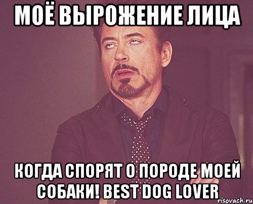 Моё вырожение лица Когда спорят о породе моей собаки! Best Dog Lover, Мем твое выражение лица