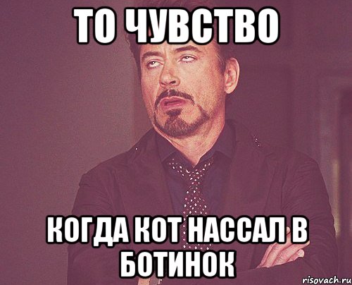 то чувство когда кот нассал в ботинок, Мем твое выражение лица