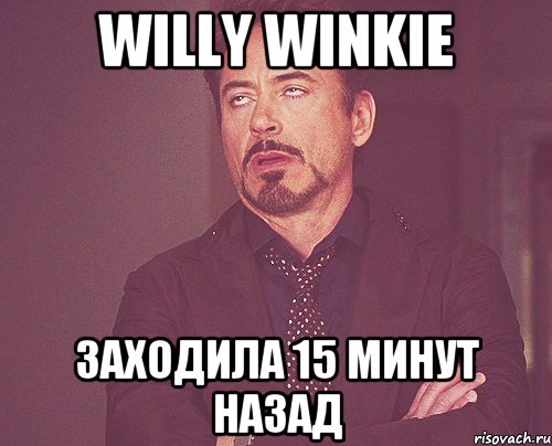 Willy Winkie Заходила 15 минут назад, Мем твое выражение лица