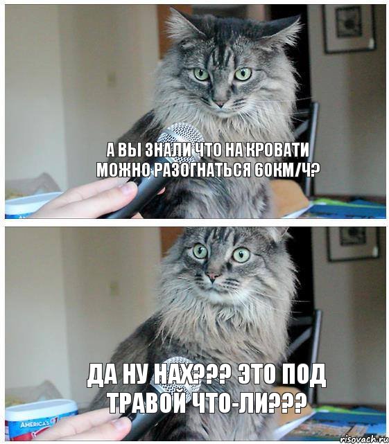 А Вы знали что на кровати можно разогнаться 60км/ч? Да ну нах??? это под травой что-ли???, Комикс  кот с микрофоном