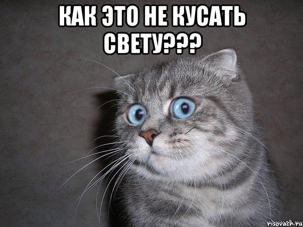 Как это не кусать Свету??? , Мем  удивлённый кот