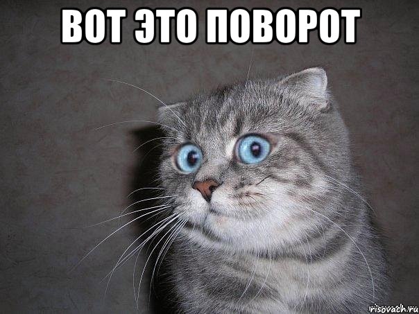 вот это поворот 