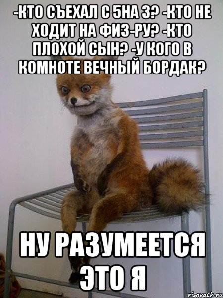 -Кто съехал с 5на 3? -Кто не ходит на физ-ру? -Кто плохой сын? -У кого в комноте вечный бордак? Ну разумеется это Я, Мем Упоротая лиса