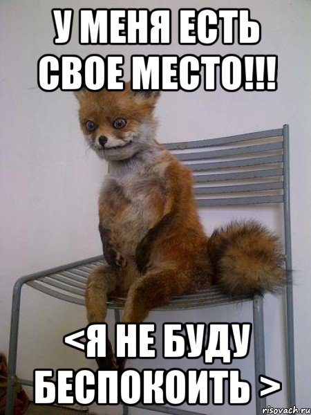 У меня есть свое место!!! <я не буду беспокоить >, Мем Упоротая лиса