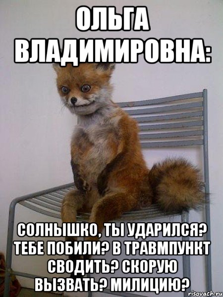 Ольга Владимировна: Солнышко, ты ударился? Тебе побили? В травмпункт сводить? Скорую вызвать? Милицию?, Мем Упоротая лиса