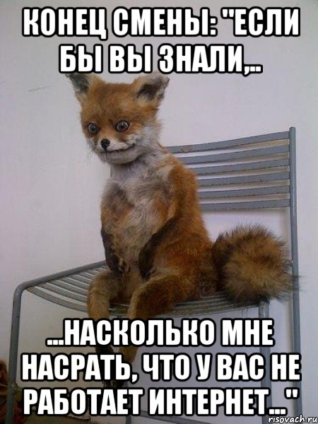 Конец смены: "Если бы вы знали,.. ...насколько мне насрать, что у вас не работает интернет...", Мем Упоротая лиса