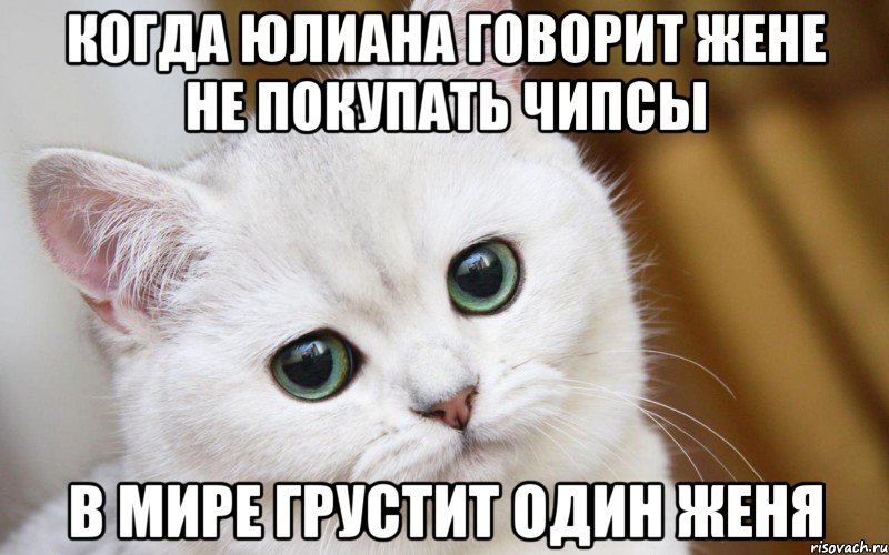 Когда Юлиана говорит Жене не покупать чипсы в мире грустит один Женя, Мем  В мире грустит один котик