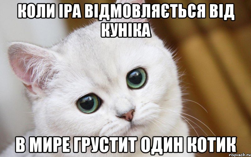 коли Іра відмовляється від куніка В мире грустит один котик, Мем  В мире грустит один котик