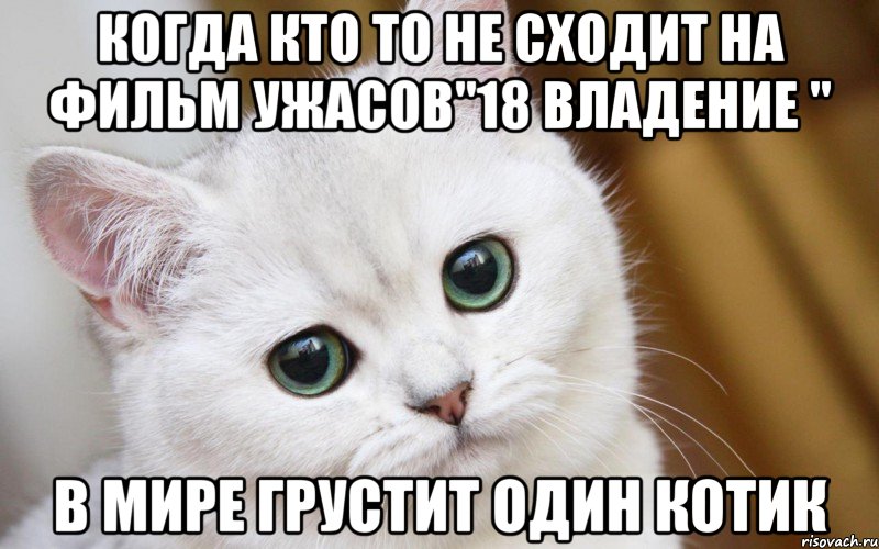 Когда кто то не сходит на фильм ужасов"18 владение " В мире грустит один котик, Мем  В мире грустит один котик