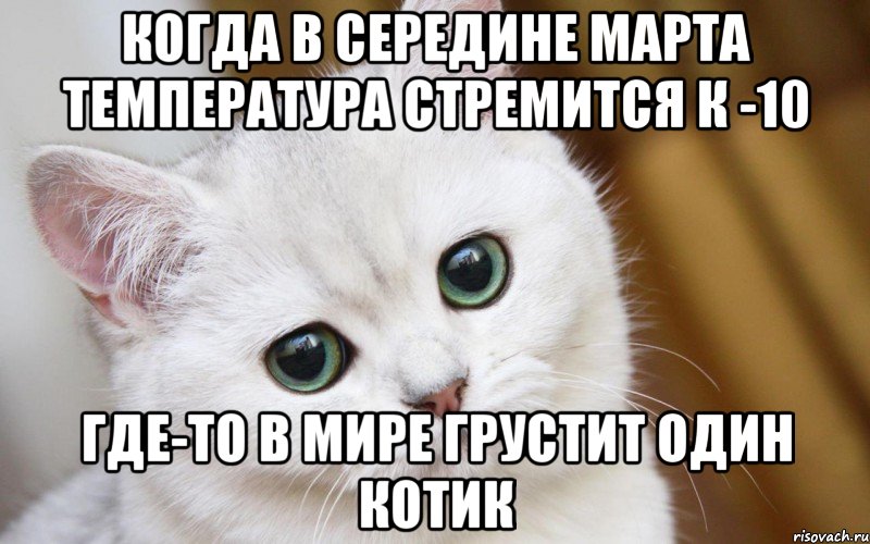 Когда в середине марта температура стремится к -10 Где-то в мире грустит один котик, Мем  В мире грустит один котик