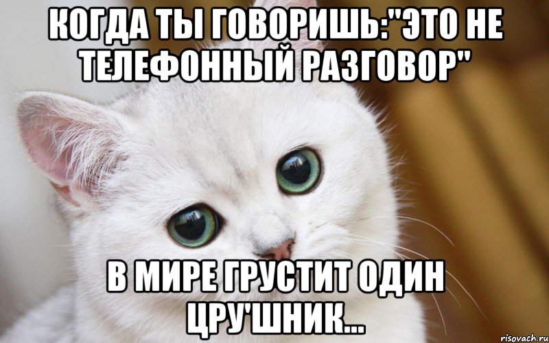 Когда ты говоришь:"Это не телефонный разговор" В мире грустит один ЦРУ'шник..., Мем  В мире грустит один котик