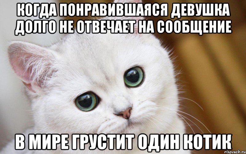 Когда понравившаяся девушка долго не отвечает на сообщение В мире грустит один котик