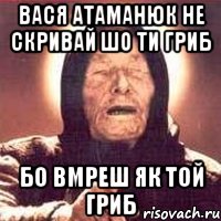 Вася Атаманюк не скривай шо ти Гриб бо вмреш як той Гриб, Мем Ванга (цвет)