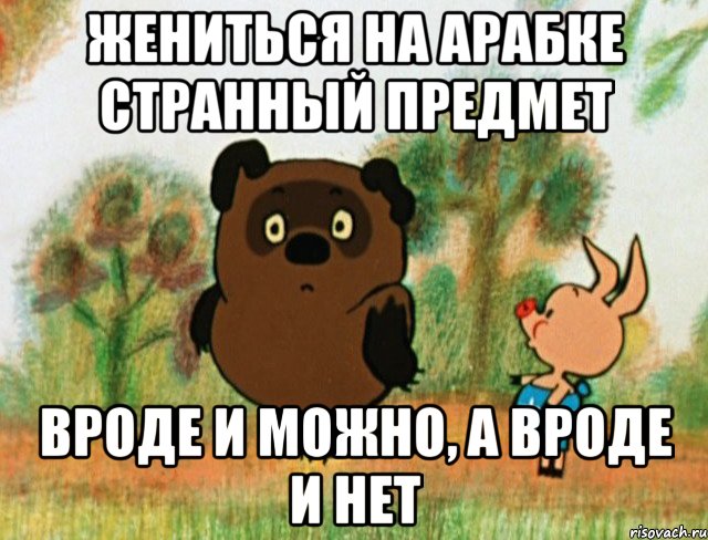 Жениться на арабке странный предмет Вроде и можно, а вроде и нет, Мем Винни Пух с Пятачком