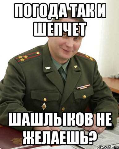 Погода так и шепчет Шашлыков не желаешь?, Мем Военком (полковник)