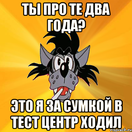 ты про те два года? это я за сумкой в тест центр ходил, Мем Волк