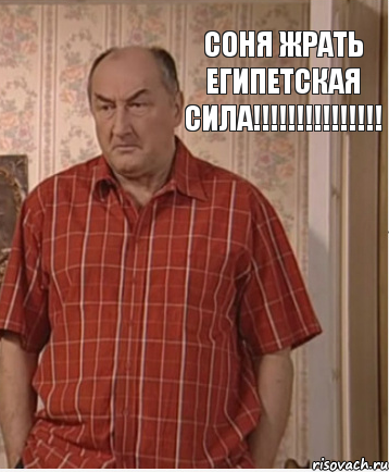 Соня Жрать Египетская сила!!!!!!!!!!!!!!!