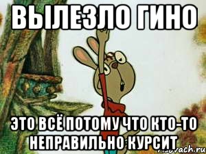 вылезло гино это всё потому что кто-то неправильно курсит, Мем   Это все потому что кто-то