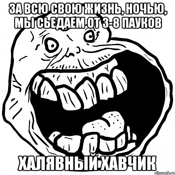 За всю свою жизнь, ночью, мы сьедаем от 3-8 пауков Халявный хавчик