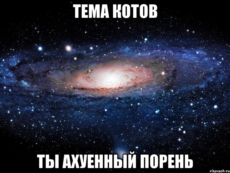 Тема Котов ты ахуенный порень, Мем Вселенная