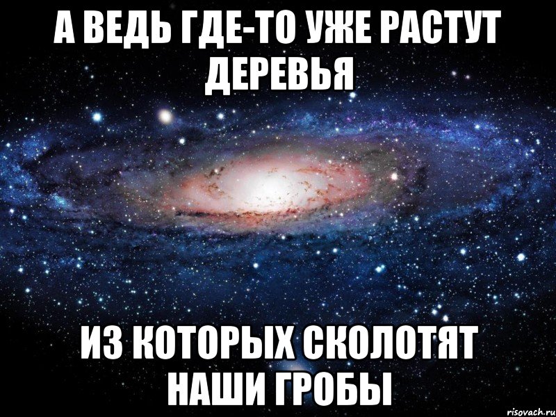 А ведь где-то уже растут деревья из которых сколотят наши гробы, Мем Вселенная