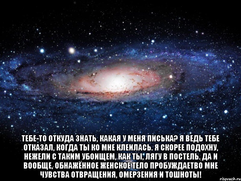  Тебе-то откуда знать, какая у меня писька? Я ведь тебе отказал, когда ты ко мне клеилась. Я скорее подохну, нежели с таким убоищем, как ты, лягу в постель. Да и вообще, обнажённое женское тело пробуждаетво мне чувства отвращения, омерзения и тошноты!, Мем Вселенная