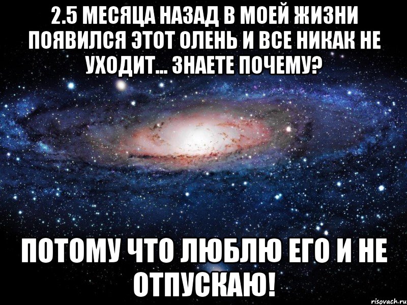 2.5 месяца назад в моей жизни появился этот олень и все никак не уходит... Знаете почему? Потому что люблю его и не отпускаю!, Мем Вселенная