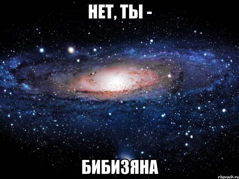 нет, ты - бибизяна, Мем Вселенная